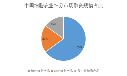 細(xì)分市場(chǎng)融資規(guī)模占比