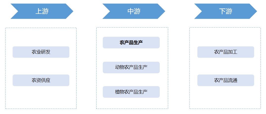 產(chǎn)業(yè)鏈全景