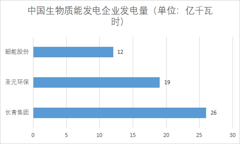 中國生物質(zhì)能發(fā)電行業(yè)競爭格局及重點企業(yè)調(diào)查
