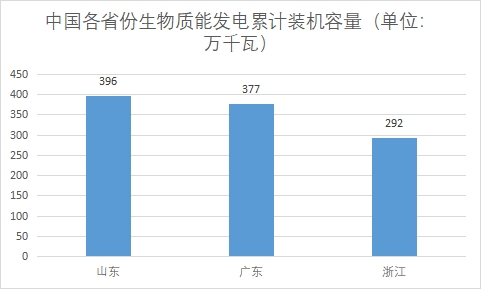 中國生物質(zhì)能發(fā)電行業(yè)競爭格局及重點企業(yè)調(diào)查