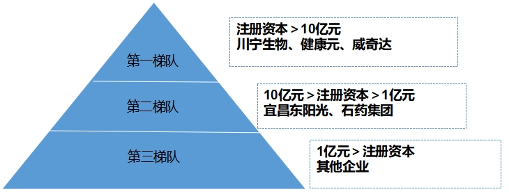 中國(guó)抗生素行業(yè)競(jìng)爭(zhēng)格局及重點(diǎn)企業(yè)研究