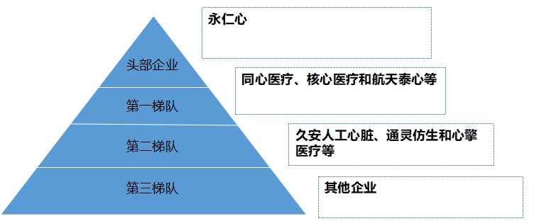 中國心室輔助裝置行業(yè)競爭格局及重點(diǎn)企業(yè)經(jīng)營情況調(diào)研