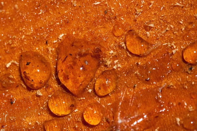 中國合成樹脂市場調(diào)研