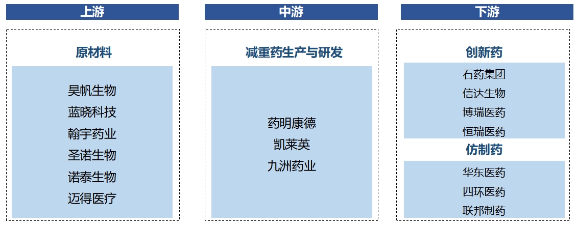 中國(guó)減重藥行業(yè)調(diào)研