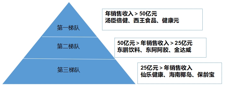 中國(guó)功能食品行業(yè)調(diào)研