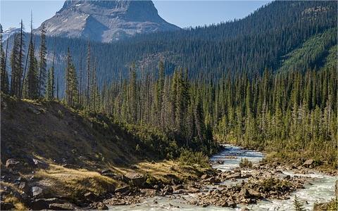 山西：三年計(jì)劃！山西加快推動(dòng)農(nóng)村黑臭水體清零