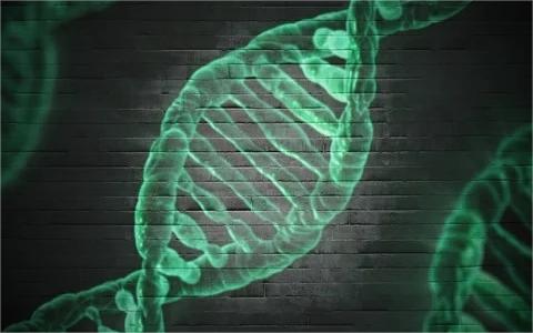 中國基因編輯市場調(diào)研報告