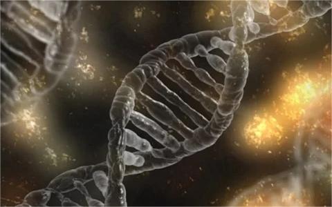 中國基因編輯行業(yè)發(fā)展機遇分析及趨勢預(yù)測