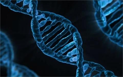 中國基因編輯行業(yè)調(diào)研