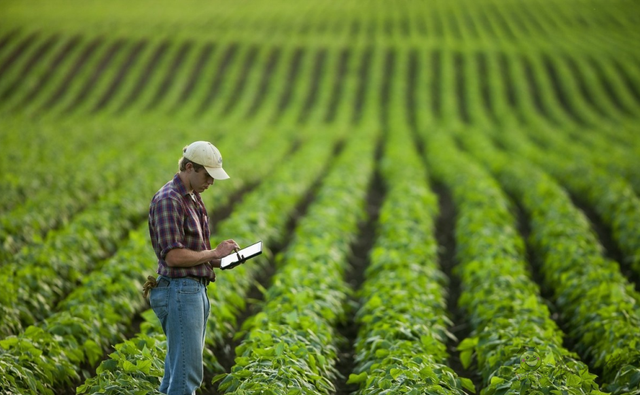 《關(guān)于加快推進(jìn)農(nóng)產(chǎn)品初加工機(jī)械化高質(zhì)量發(fā)展的意見(jiàn)》解讀