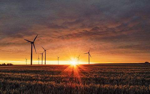 甘肅莊浪縣：利用農(nóng)業(yè)設(shè)施棚頂?shù)劝l(fā)展光伏農(nóng)業(yè)