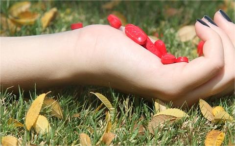 中國數(shù)字心理健康服務(wù)行業(yè)發(fā)展壁壘分析及趨勢預(yù)測