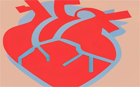 2023年全球及中國心臟瓣膜行業(yè)發(fā)展現(xiàn)狀研究及前景預(yù)測報(bào)告