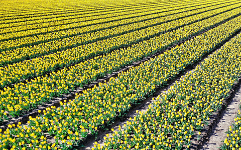 《全國現(xiàn)代設(shè)施農(nóng)業(yè)建設(shè)規(guī)劃（2023&mdash;2030年）》解讀