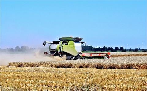 2024年全球及中國糧食物流行業(yè)發(fā)展現(xiàn)狀分析及前景預(yù)測報(bào)告