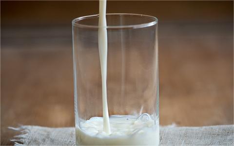 中國羊奶行業(yè)調(diào)研