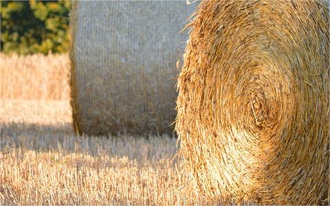 中國秸稈市場發(fā)展現(xiàn)狀分析