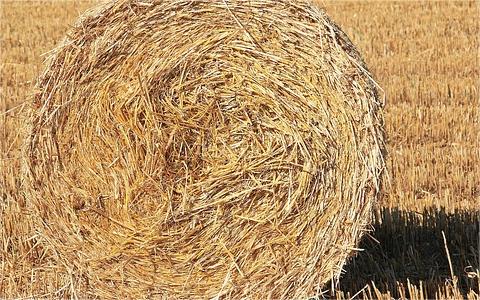 全球及中國秸稈行業(yè)研究報告