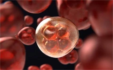 中國(guó)CAR-T免疫細(xì)胞治療行業(yè)發(fā)展環(huán)境分析及前景預(yù)測(cè)研究報(bào)告