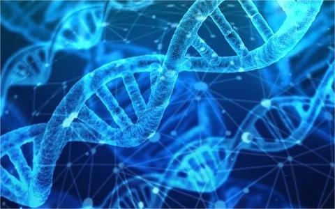 中國基因編輯育種行業(yè)分析