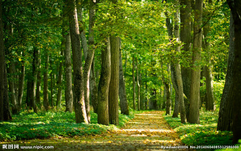 政策研究報(bào)告：[關(guān)于進(jìn)一步強(qiáng)化金融支持綠色低碳發(fā)展的指導(dǎo)意見]解讀