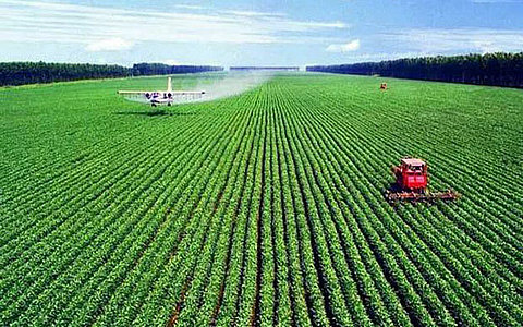 關(guān)于扶持新型農(nóng)業(yè)經(jīng)營主體和服務(wù)主體提升發(fā)展三年攻堅(jiān)行動(dòng)十三條措施政策解讀