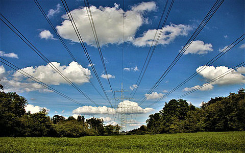 政策研究報告：[《生態(tài)保護補償條例》]解讀