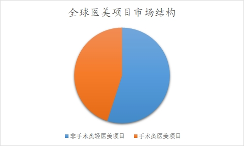 全球醫(yī)美項目市場結(jié)構(gòu)