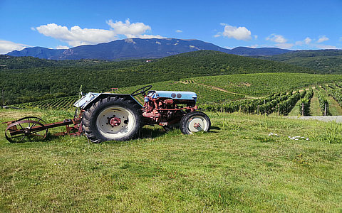 2024年家政興農(nóng)行動(dòng)工作方案政策解讀