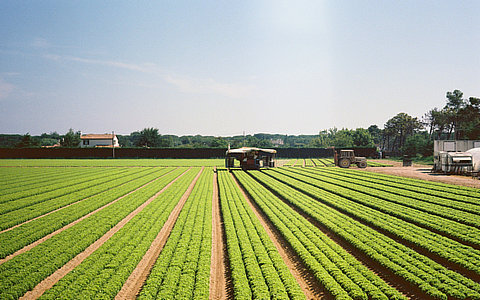 關于開展2024年農(nóng)業(yè)品牌精品培育工作的通知政策解讀