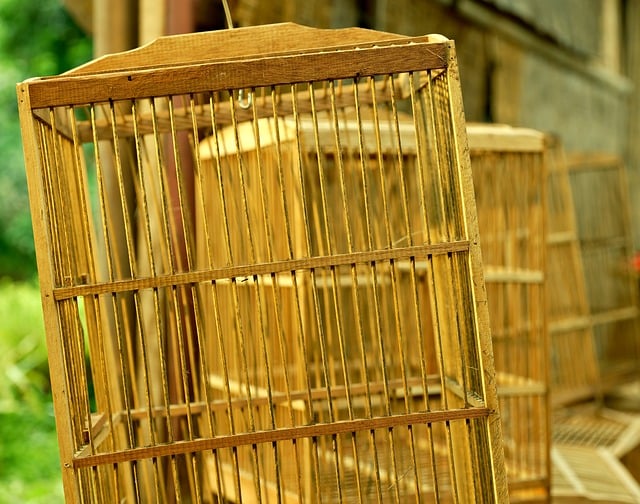 全球及中國實(shí)驗(yàn)動(dòng)物籠細(xì)分市場調(diào)研報(bào)告 2019-2029