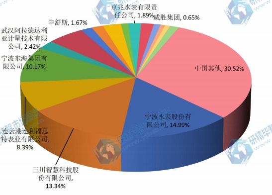 中國主要企業(yè)2015年水表銷量份額