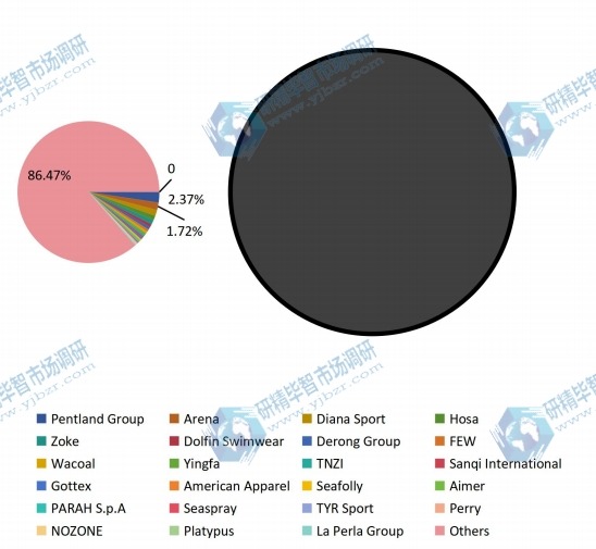 2016年全球供應(yīng)商泳裝銷量市場份額