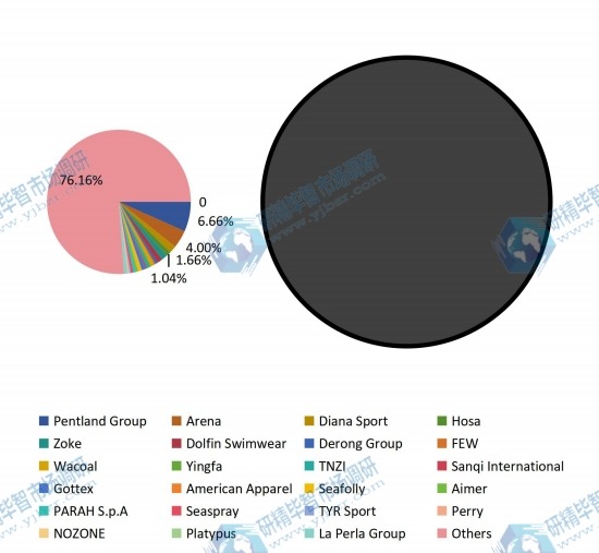 2016年全球供應(yīng)商泳裝銷售額市場(chǎng)份額