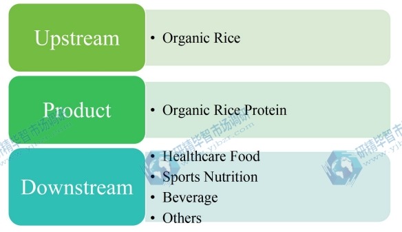 有機(jī)大米蛋白產(chǎn)業(yè)鏈分析