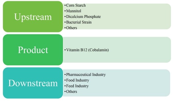 維生素B12（鈷胺素）價(jià)值鏈分析
