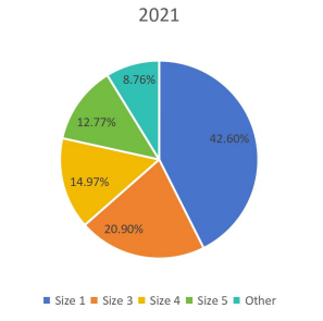 2021年按類型劃分的全球足球生產(chǎn)市場(chǎng)份額（%）