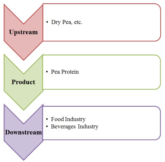 豌豆蛋白產(chǎn)業(yè)鏈分析