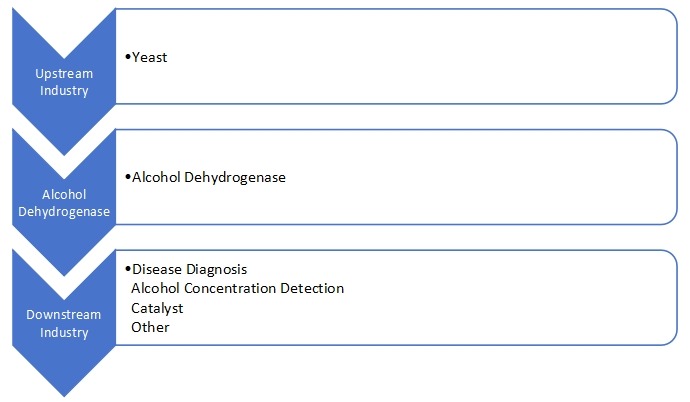 酒精脫氫酶產(chǎn)業(yè)鏈分析