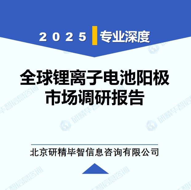 2025年全球與中國鋰離子電池陽極市場深度調(diào)研報告：行業(yè)趨勢與投資前景分析