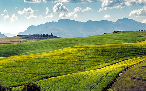 中央一號(hào)文件打出政策&ldquo;組合拳&rdquo;，促進(jìn)農(nóng)產(chǎn)品價(jià)格企穩(wěn)回升
