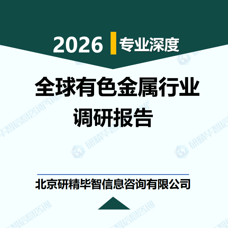 2025-2030年全球有色金屬行業(yè)細分市場與投資策略指南研究報告